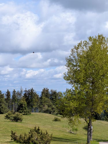 U(h)rwaldpfad Rohrhardsberg (Genießerpfad)