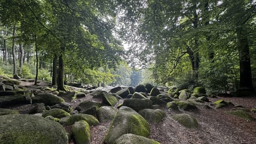 Lautertal-Staffel: L1 Felsenmeer-Rundweg