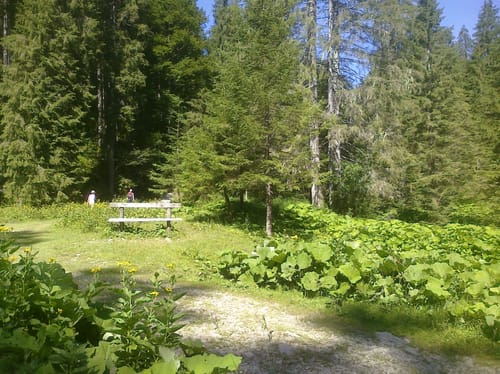 MTB: Bad Wiessee - Kreuth - Schwarze Tenn