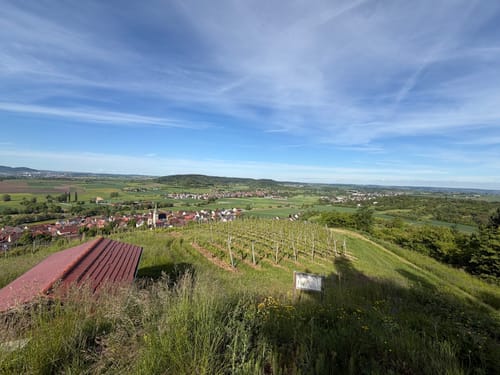 Unterjesinger Wengertwegle (Premiumspazierwanderweg)