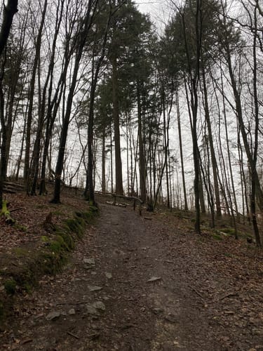 Morgenbachtal Rundweg ab Burg Rheinstein