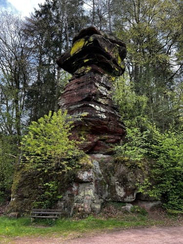 König Johann Runde (Traumschleife)