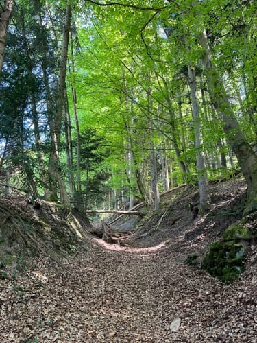 Ostweg Etappe 2: Bad Liebenzell - Bad Teinach