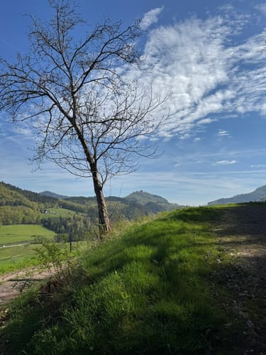 Seelbach Panoramawanderung
