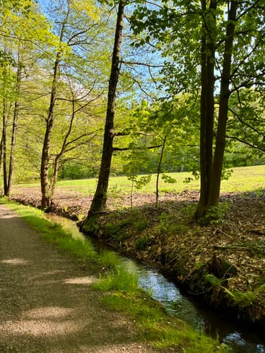 Floßgrabenwanderung