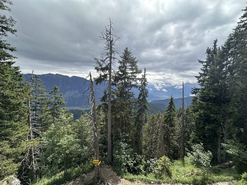 Von der Laber-Bergbahn nach Oberammergau