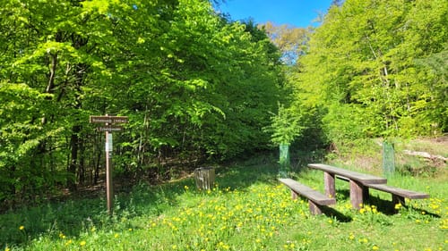 Lahnwanderweg Etappe 5: Buchenau - Caldern