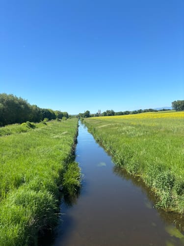 Halberstadt See Runde