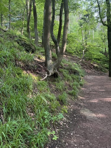 Felsenrundgang Nideggen Teil II