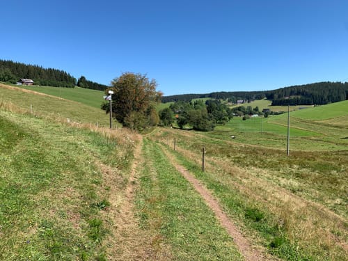 Heilklima-Steig (Genießerpfad)