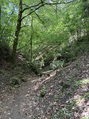 Von Veilbronn durch das Leidingshofer Tal