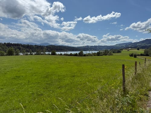 Rund um den Niedersonthofener See