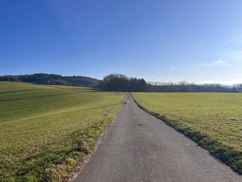 Rundwanderweg Gorxheimertal 7: Schütze-Kreuz-Weg