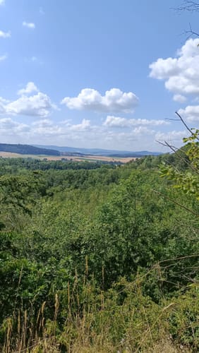 Um den Silbersee und durch den Rabenwald