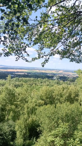 Um den Silbersee und durch den Rabenwald