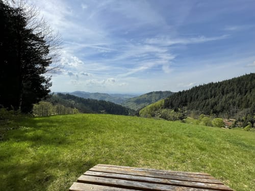 Lierbachtal ab Oppenau