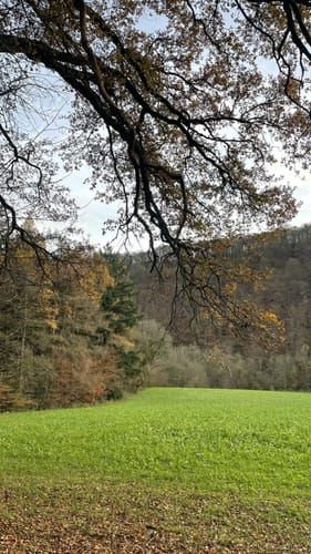 Rund um Pfaffenberg