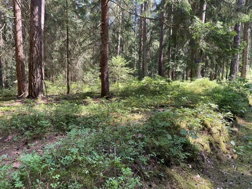 Rund um den Stausee Heyda
