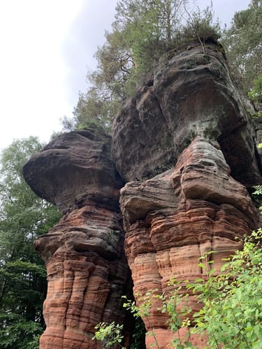 Durchs Langenbachtal zur Bärenhöhle