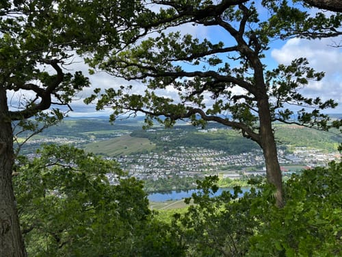 Moselsteig Etappe 11: Bernkastel-Kues - Ürzig