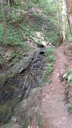 Winterberger Schluchten- und Brückenpfad