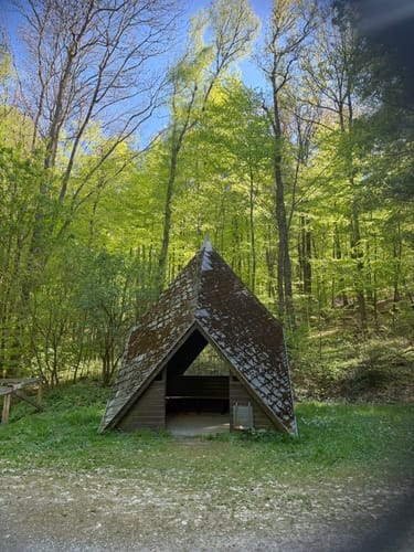 Rund um den Kurpark Bad Schwalbach