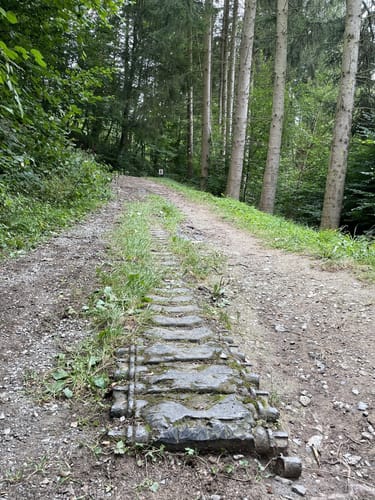 Kall Trail