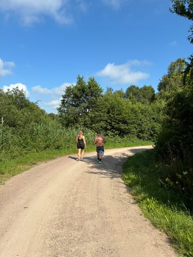 Libellenweg