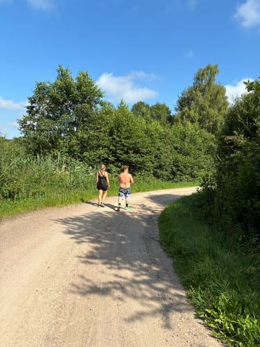 Libellenweg