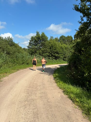 Libellenweg