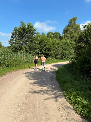 Libellenweg