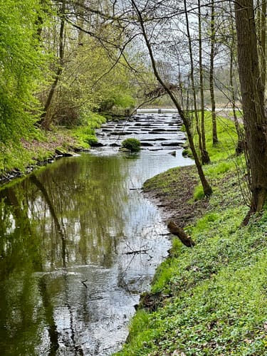 Nette-Seen (Premiumwanderweg)