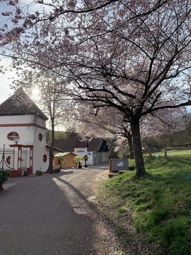 7-Weiher-Tour