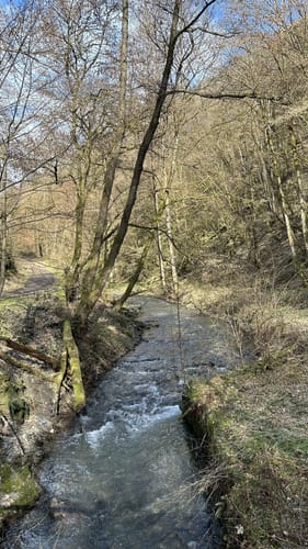 Enderttal Rundweg ab Cochem