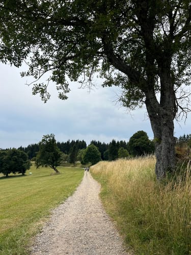 Schauinsland