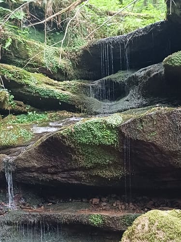 Hexenklamm (Premiumwanderweg)