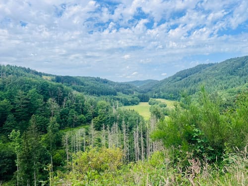 Naturpark Südeifel Wanderweg Nr. 32 - Übereisenbach - Obereisenbach