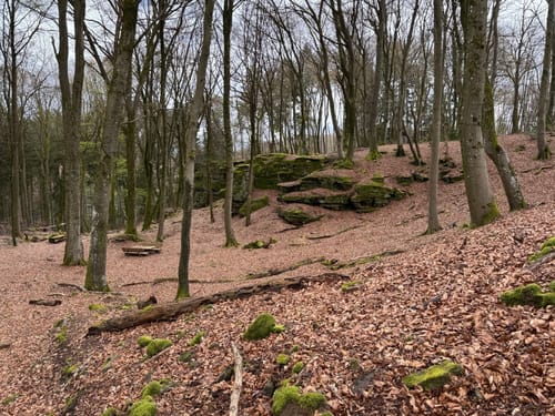 Holsthum - Ferschweiler (Naturpark Südeifel Wanderweg Nr. 58)