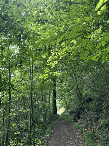 Rundwanderweg Ründeroth-Oesinghausen