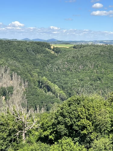 Rundwanderweg B2 (Breitscheid)