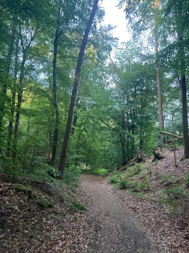 Wahner Heide