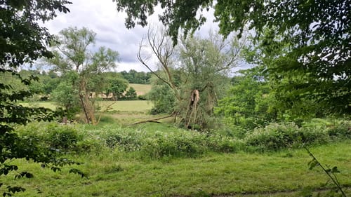 Teuterhof Rundweg