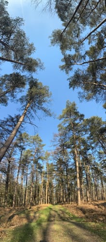 Naturwildpark Granat ab Holtwick