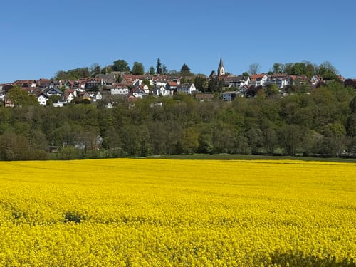 SchächerbachTour (Premiumwanderweg)