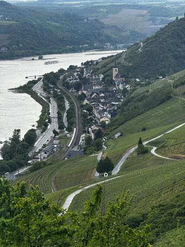 Rheinsteig Etappe 17: Lorch - Rüdesheim