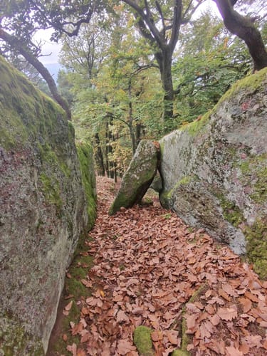 Ganerbenweg (Premiumwanderweg)