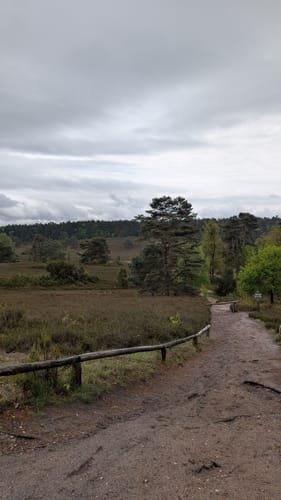 Heidschnuckenweg Etappe 2: Buchholz in der Nordheide - Handeloh