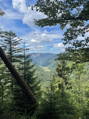 Feldbergsteig - Alpiner Pfad