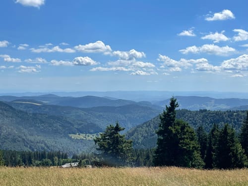 Feldbergsteig - Alpiner Pfad