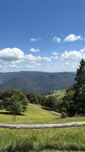 Hofsgrund und Schauinsland